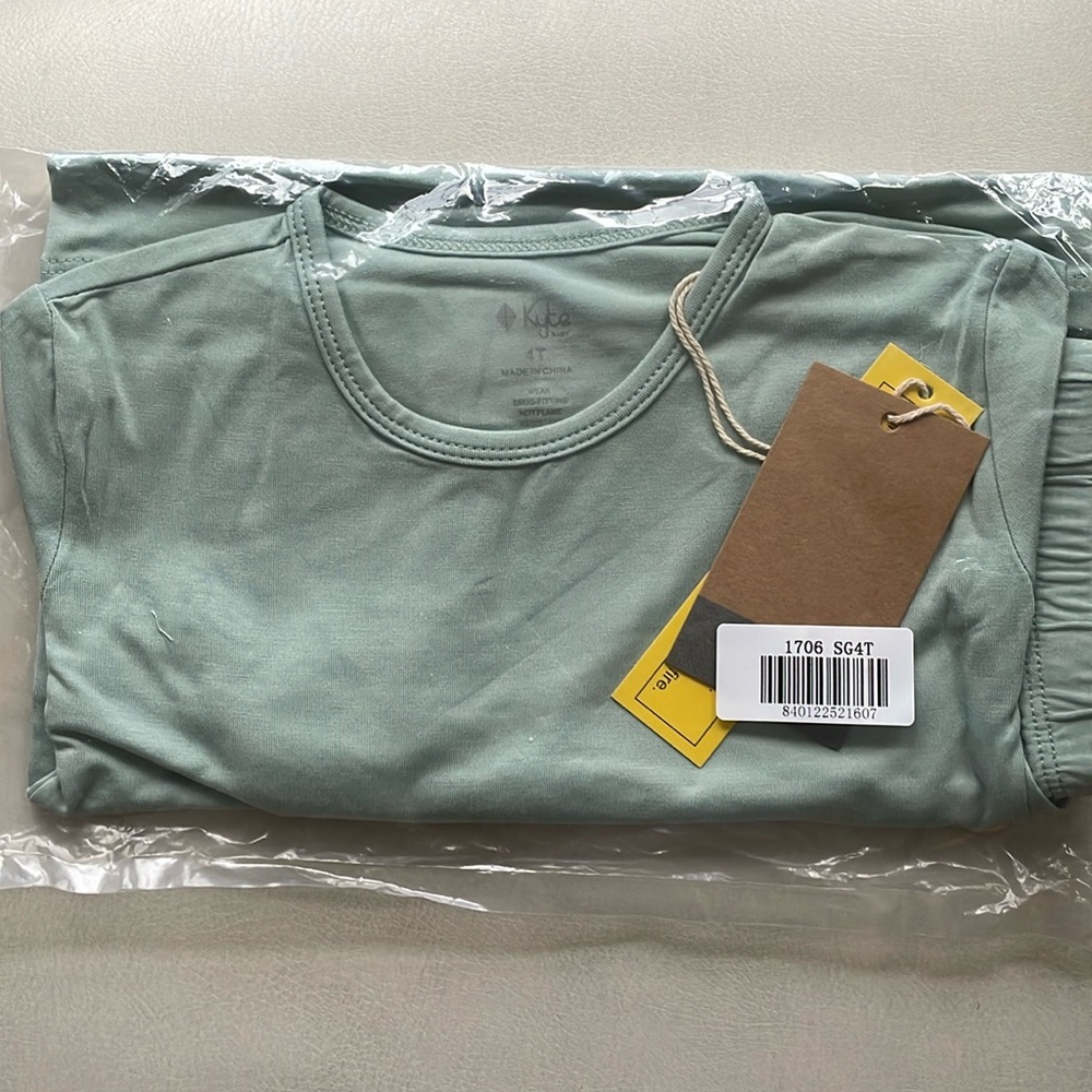 Kyte BABY SAGE short sleeve pajamas 4T.